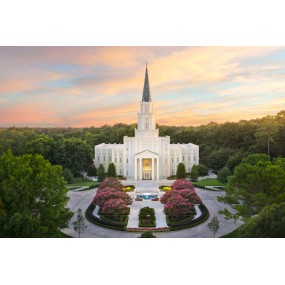 Houston Texas Temple Recommend Holder