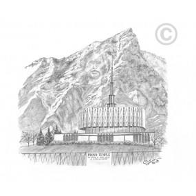 Provo Utah Temple Recommend Holder